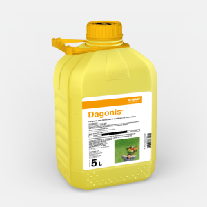 Dagonis