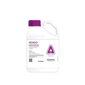 Kendo