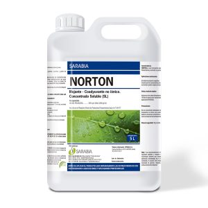 Norton
