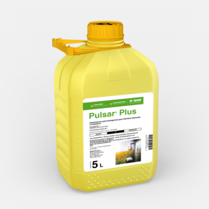 Pulsar plus