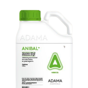 Anibal