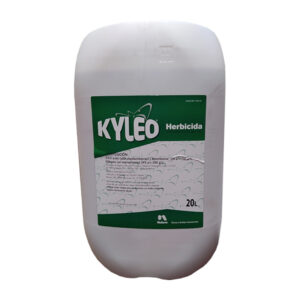 Kyleo
