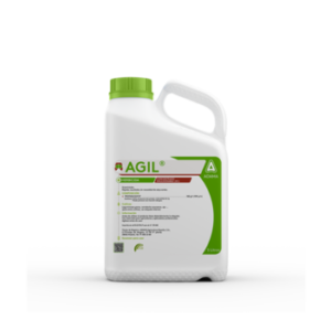 Agil