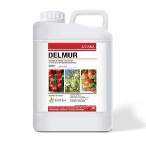 Delmur