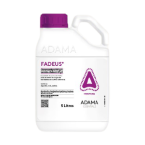 Fadeus