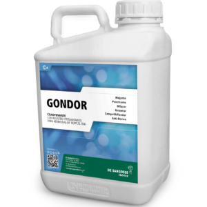 Gondor