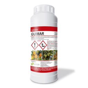 Guimar