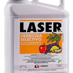 Laser