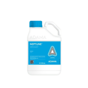 Neptune