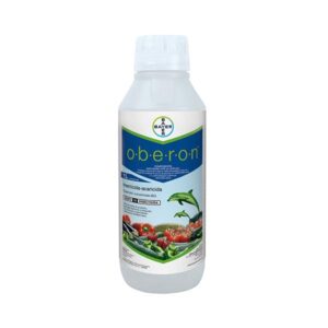 Oberon
