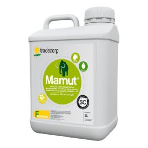 Mamut