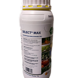 Select Max
