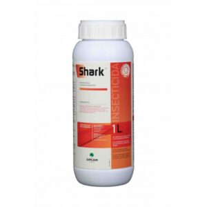 Shark