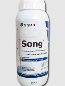 Song