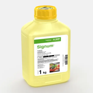 Signum