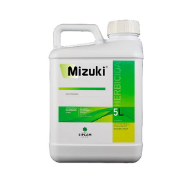 Mizuki