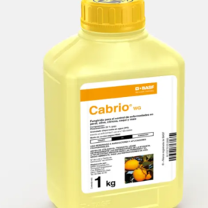 Cabrio WG